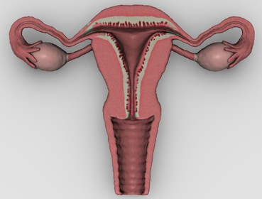 Sinusitis complications Pdf